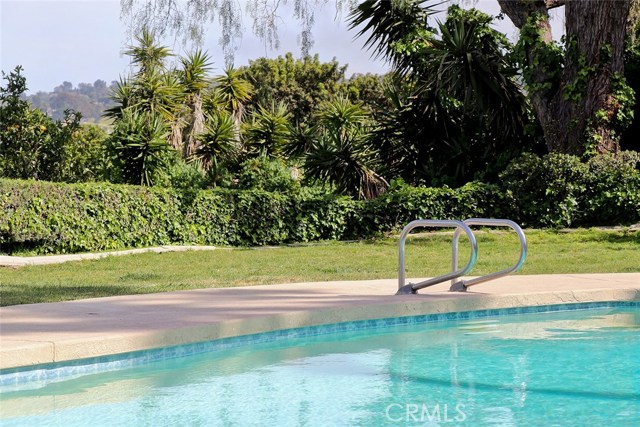 POOL, BACKYARD, FRUIT TREES AND ROOM FOR MORE FRUIT TREES.