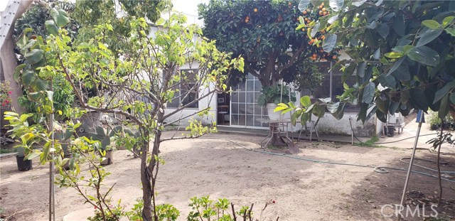 Large lot with lots of trees