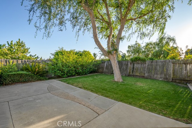 This backyard is large enough for a pool!