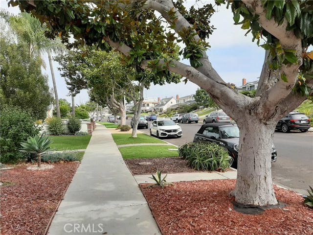 427 Paulina Ave, Redondo Beach, California 90277, 3 Bedrooms Bedrooms, ,1 BathroomBathrooms,Residential,Sold,Paulina Ave,SB20187373