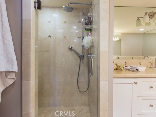 Master bathroom shower - WC POV