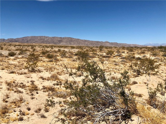 789 Twentynine Palms
