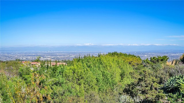 180 dgree view from back patio