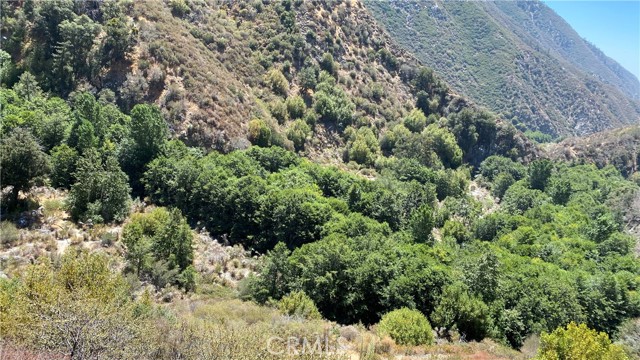 Detail Gallery Image 2 of 3 For 14 Tract 6864, Mt Baldy,  CA 91759 - – Beds | – Baths