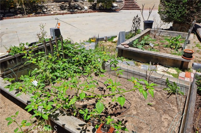 Vegtable garden