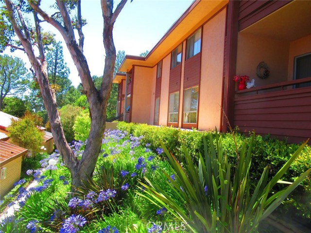 5937 ARMAGA SPRING RD. #E - REAR VIEW