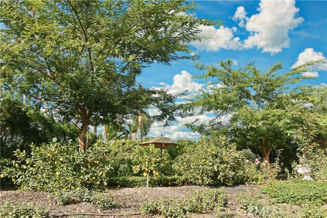 26800 Rolling Hills Road, Rolling Hills Estates, California 90274, 6 Bedrooms Bedrooms, ,4 BathroomsBathrooms,Residential,Sold,Rolling Hills,PV20257537