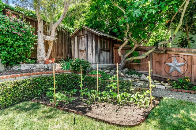 With room for a garden, over a dozen types of fruits and vegetables grows in the backyard. The vegetable garden include: Hot House Tomatoes, Blue Lake Pole Green Beans, Watermelon, Corn, Broccoli, Cantaloupe, Yellow Summer Crookneck Squash, and Sugar Pie Pumpkins.