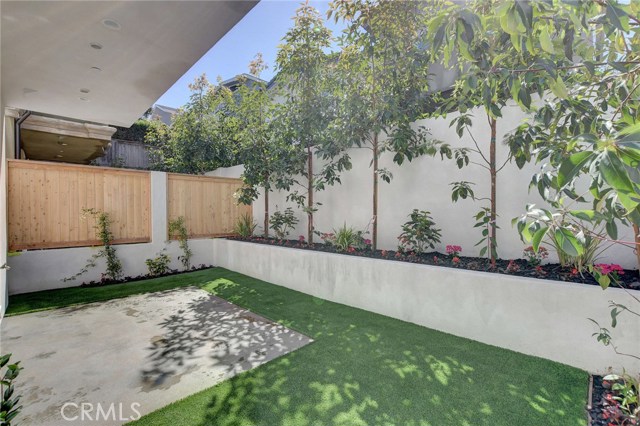 1st Level . . . Back yard