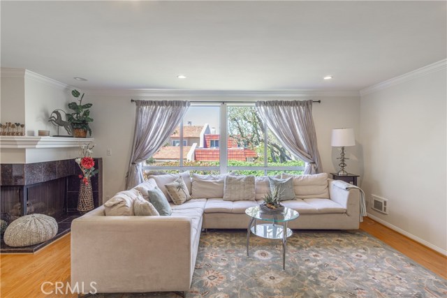Bright sunny living room