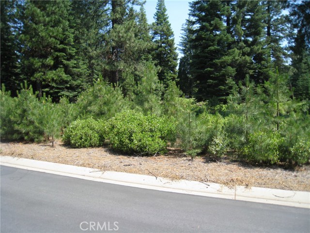 Long Leaf Pine, 96137, ,For Sale,Long Leaf Pine,SN17267845