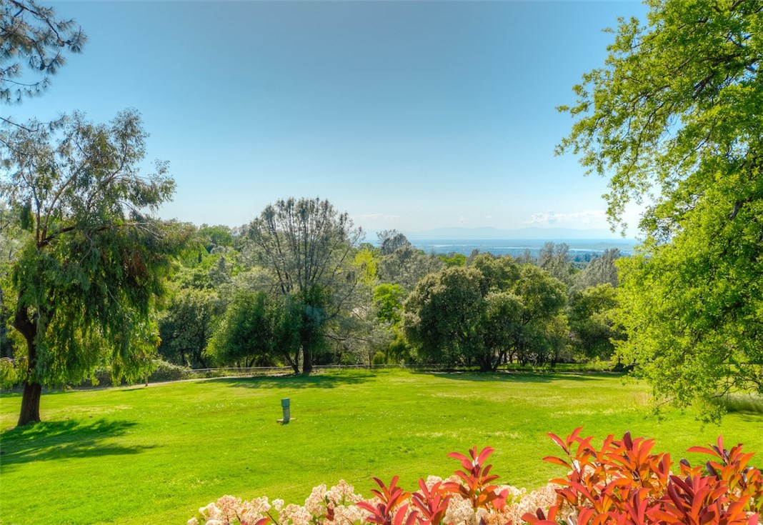 View from Northside of back Yard.