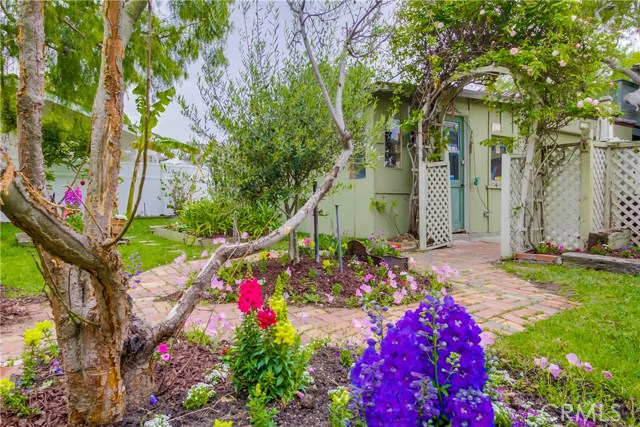 Garden at Side Yard