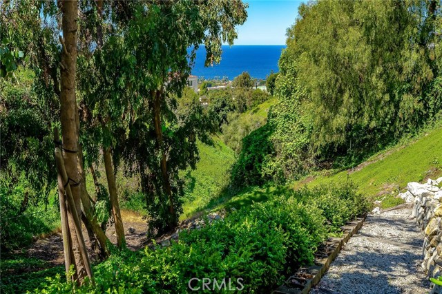 Paths and landscaping behind the house - Your own secret garden