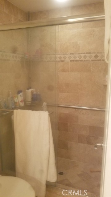 Master Bath Shower