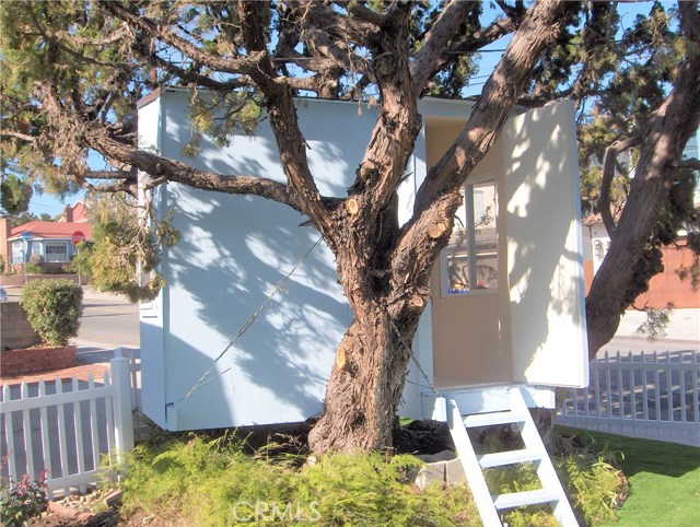 Front yard Tree House