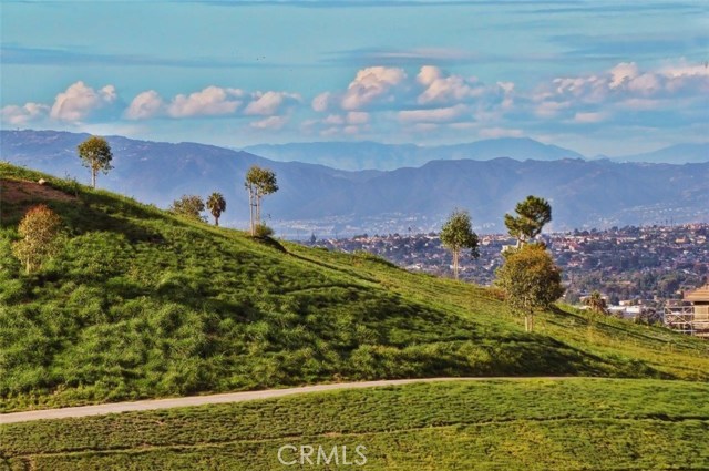 19 Vista Real Drive, Rolling Hills Estates, California 90274, 3 Bedrooms Bedrooms, ,3 BathroomsBathrooms,Residential,Sold,Vista Real,PV17182807 19 Vista Real Drive, Rolling Hills Estates, California 90274, 3 Bedrooms Bedrooms, ,3 BathroomsBathrooms,Residential,Sold,Vista Real,PV17182807