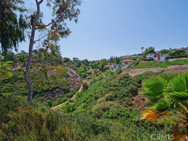 Canyon views!