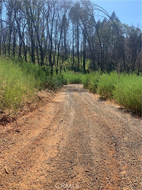 0 Detlow RD, Cherokee, CA 95965