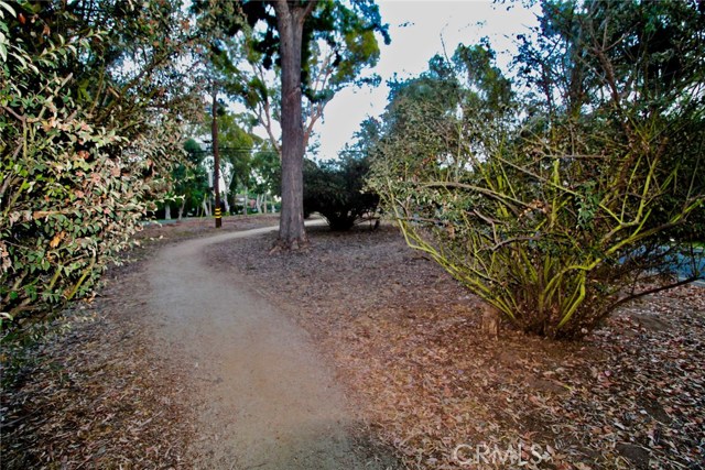 Trail between the Drive looking East