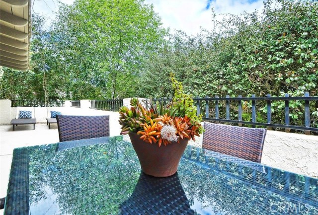 Enclosed Patio