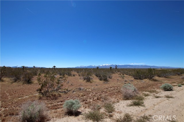 Fremontia Road, Victorville, CA, 92392 Fremontia Road