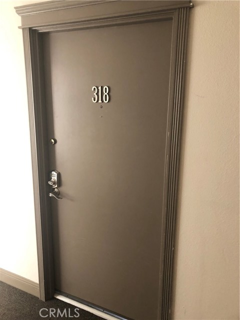 Unit door