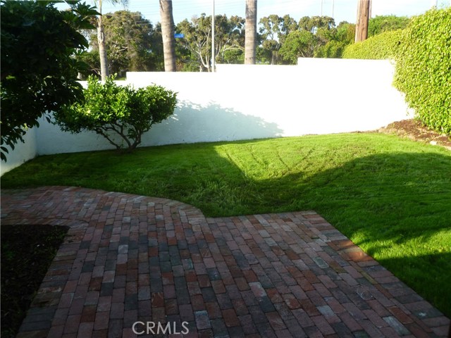 Private Grassy Backyard