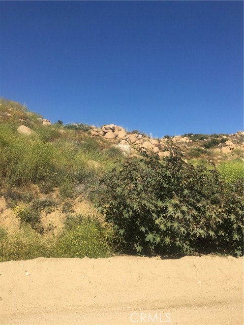 El Toro