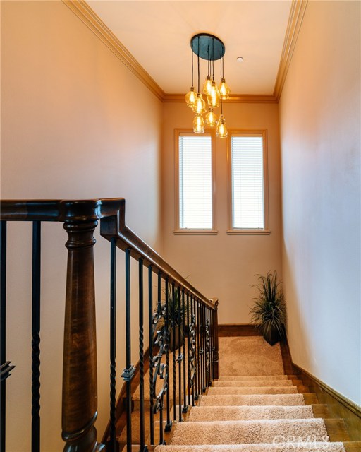 The staircase with spectacular lighting.