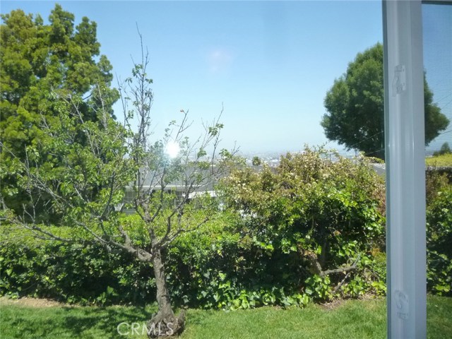 View from bedroom 2 window.
