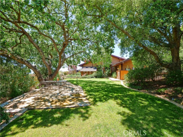 Lovely lawn and gardens with a patio shaded by a 100 year old English Oak