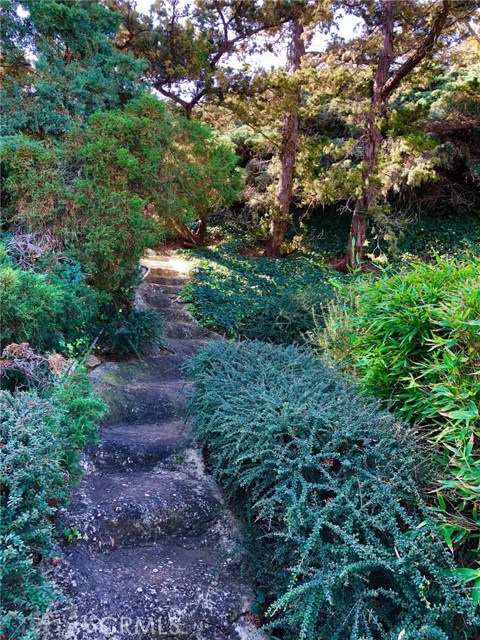 One of the Many Unique Features in the Backyard is this Pathway up the Hill.