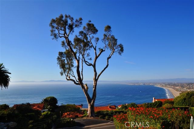 640 Via Del Monte, Palos Verdes Estates, California 90274, 3 Bedrooms Bedrooms, ,2 BathroomsBathrooms,Residential,Sold,Via Del Monte,PV17143780