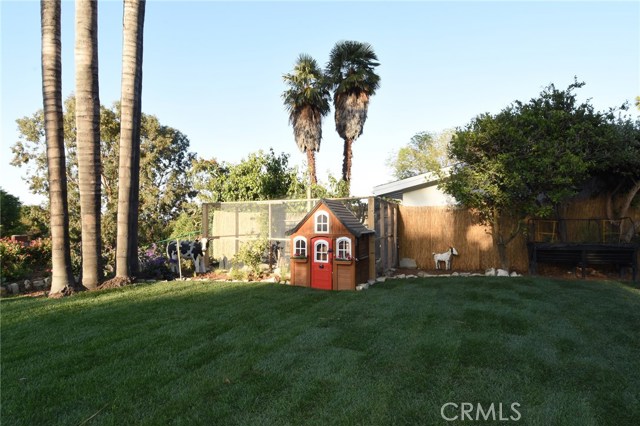 The adorable chicken coop and pen.  A wonderful sight!
