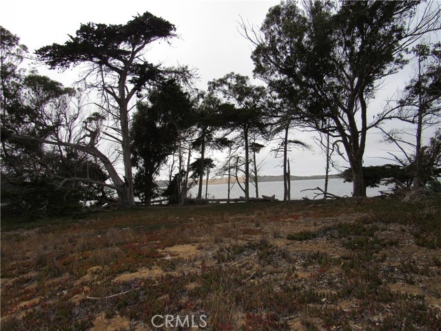Detail Gallery Image 1 of 1 For 1865 N Pecho Rd Rd, Los Osos,  CA 93402 - – Beds | – Baths