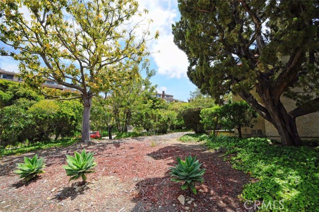 End unit surrounded by park-like setting