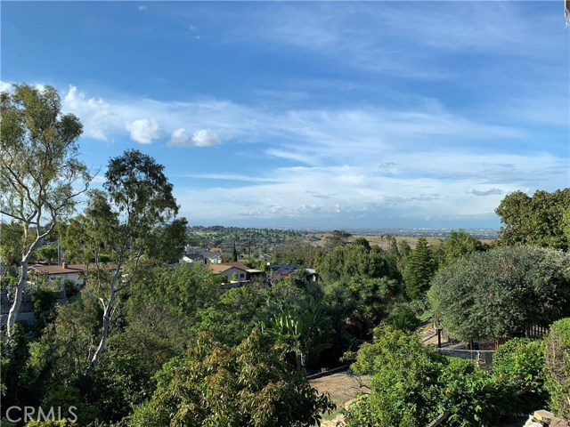 View from deck of backyard/canyon, city and mountains.