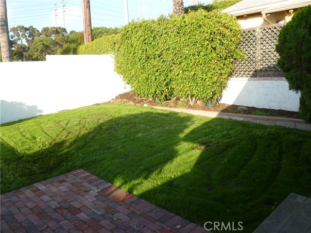 Private Grassy Backyard