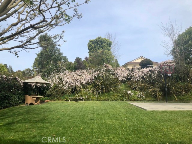 backyard view