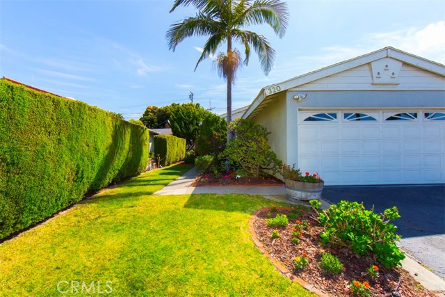 320 Prospect Avenue, Redondo Beach, California 90277, 3 Bedrooms Bedrooms, ,1 BathroomBathrooms,Residential,Sold,Prospect,SB19069858