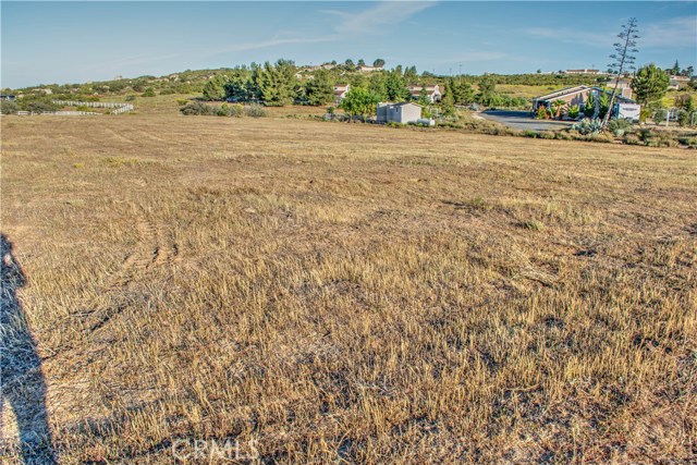686 Saddleback