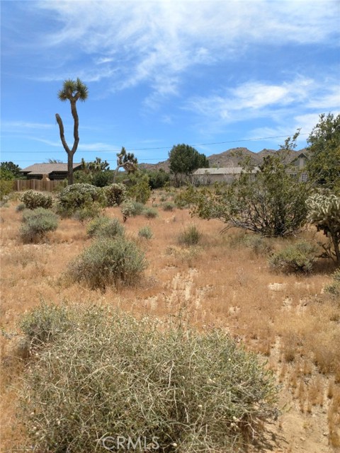 Alta Loma