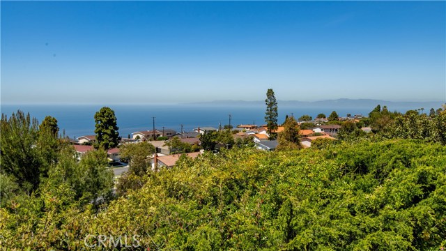 28317 Ridgethorne Court, Rancho Palos Verdes, California 90275, 3 Bedrooms Bedrooms, ,1 BathroomBathrooms,Residential,Sold,Ridgethorne,PV20080206 28317 Ridgethorne Court, Rancho Palos Verdes, California 90275, 3 Bedrooms Bedrooms, ,1 BathroomBathrooms,Residential,Sold,Ridgethorne,PV20080206