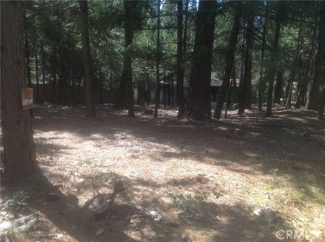 Northwood Drive