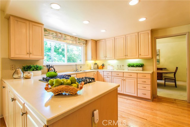 Light flooded Kitchen with views of the lush rear yard slope.