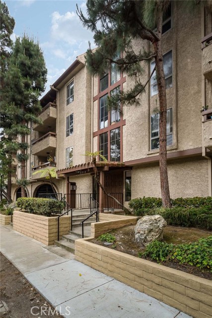 Surrounded by Beautiful Pine Trees Surrounded by Beautiful Pine Trees