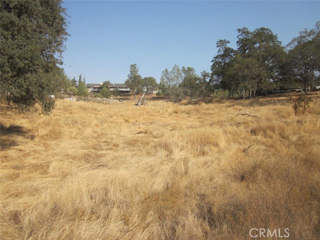 Detail Gallery Image 1 of 3 For 0 1.07ac Holiday Dr, Coarsegold,  CA 93614 - – Beds | – Baths