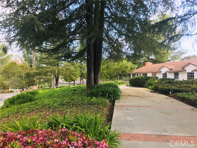 Circular driveway view