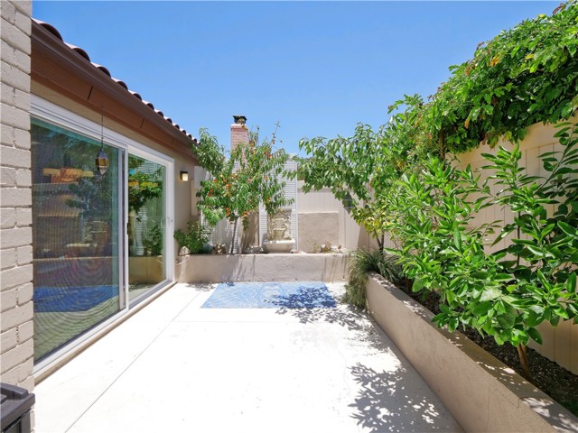 Generous enclosed patio with a variety of fruit trees.